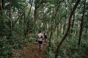 BIB: 
                            <button type="button" onclick="openModal(22795383)" class="btn btn-primary btn-sm float-right btn-popup" data-toggle="modal" data-target=".modal-high-quality">
                        <i class="fas fa-shopping-cart"></i> Add to Cart
                    </button>
                                            <button type="button" onclick="isThisMe(22795383, true)" class="btn btn-success btn-sm float-right btn-popup btn-isme hidden" data-toggle="tooltip" data-placement="bottom" title="นี่คือรูปของคุณใช่ไหม คลิกที่นี่เพื่อเอาเข้าอัลบั้ม">
                        <i class="fas fa-plus"></i> Add to album
                    </button>
                    <button type="button" onclick="isThisMe(22795383, false)" class="btn btn-warning btn-sm float-right btn-popup btn-isnotme hidden">
                        <i class="fas fa-ban"></i> Remove from album
                    </button>